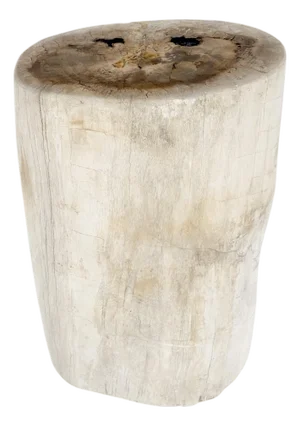 Large Beige Petrified Wood Organic Stomp Shape Stand End Side Table Pedestal