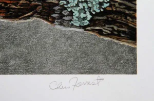 Chris Forrest, "Red Tail Hawk," Lithograph