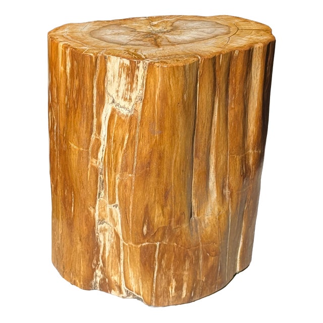 Oval Side Table in Petrified Wood, 1980s For Sale