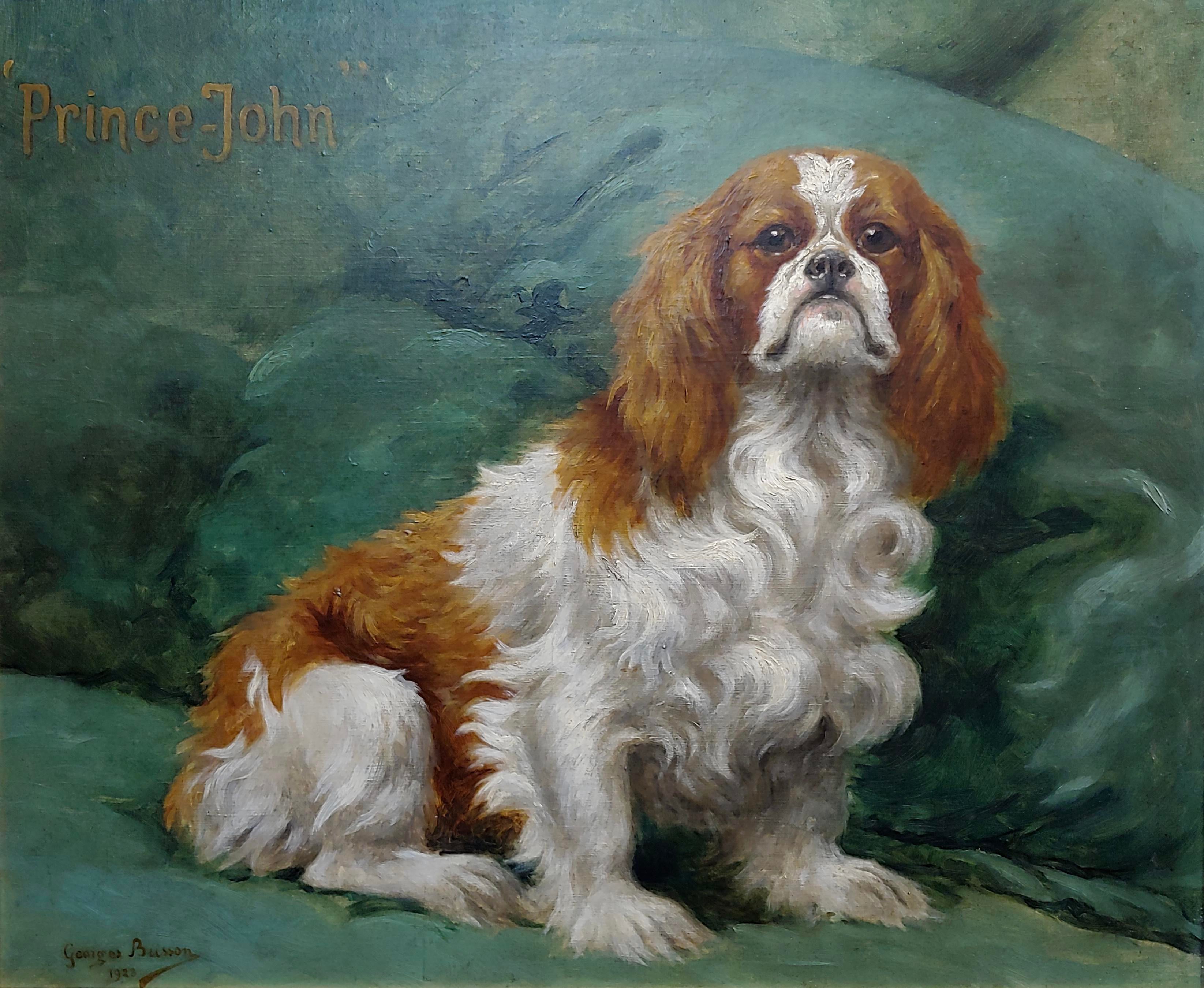 prince charles cavalier for sale