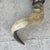 Camel Vintage Bull Horns With Wood & Skin For Sale - Image 8 of 8