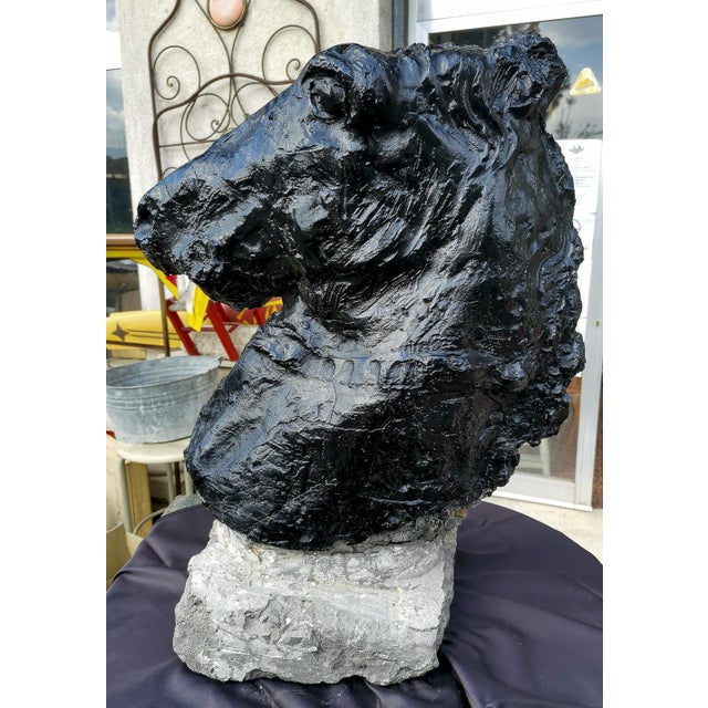 Sculpture Materials Statue Horse Horse in Black Painted Cement, Italy For Sale - Image 7 of 10