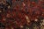 1990s Heriz Rug 8’1” X 10’10” Red Wool Vintage Tribal Hand-Knotted Oriental Carpet For Sale - Image 5 of 15