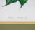 Illustration Vintage Hand-Painted Plant Specimen Watercolor Trumpet Creeper (With Frame). Signed in the Lower Right Corner For Sale - Image 3 of 10