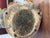 Beige 1970s Inuit Wilson Oozeva Carving of Polar Bear For Sale - Image 8 of 11