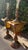 Vintage Matching Wood Table Lamps With Amber Glass Night Lights - a Pair For Sale - Image 4 of 12