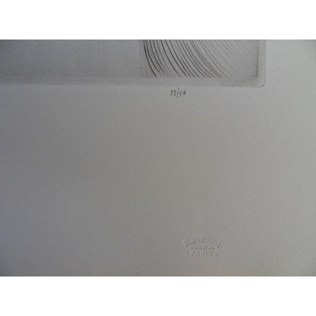 Mily Possoz, La cage aux oiseaux, Etching For Sale - Image 6 of 7