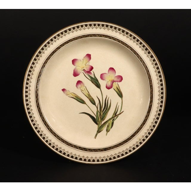 Wedgwood Creamware Botanical Specimen Plate With Pink Flowers and Brown Printed Border Dated 1862 For Sale - Image 11 of 11