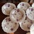 Set of 21 Antique Job Ridgway Cauldon Place Dessert Plates, Pattern B1154, Circa 1808-1814 For Sale - Image 6 of 12
