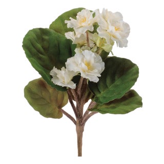 African Violet Flower Bush (Set of 4) For Sale