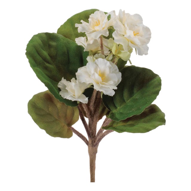 African Violet Flower Bush (Set of 4) For Sale