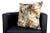 Contemporary Texture Velvet Fur Pony Pillow- a Pair For Sale - Image 3 of 12