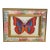 Colourful Butterfly Collage in Painted Frame Mini Painting For Sale