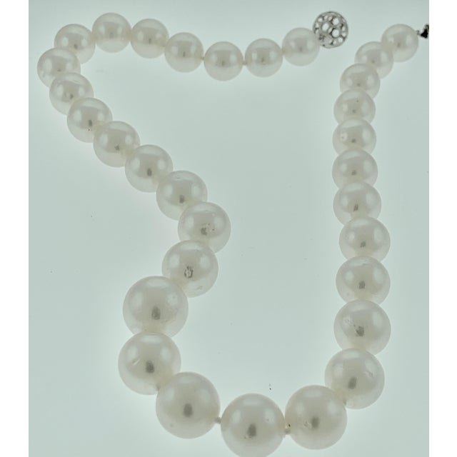 2010s White South Sea Pearls Long Strand Necklace 14 Karat Gold Clasp For Sale - Image 5 of 18