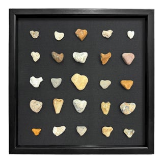 Collection of Twenty-Five Framed Heart Stones For Sale