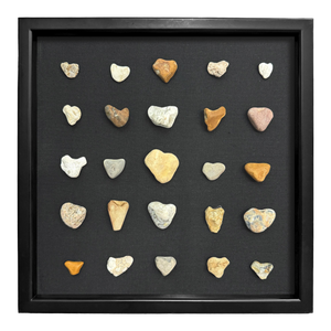 Collection of Twenty-Five Framed Heart Stones