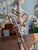 Barker Ellis 1930-40's 5 Arm Candelabra Pair. For Sale - Image 12 of 17