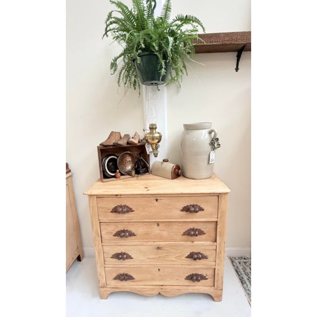 Mid 19th Century Scrubbed Pine Chest of Drawers For Sale - Image 13 of 13
