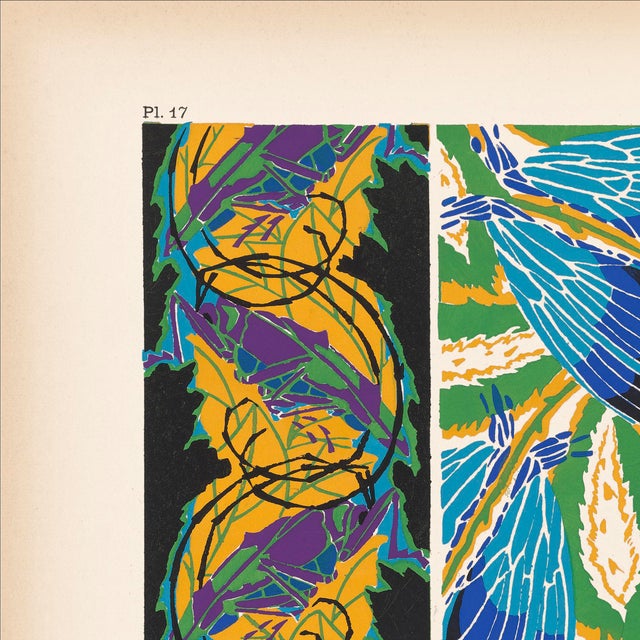 We are thrilled to present the exquisite Séguy Insects #17, available exclusively on Chairish, in the standard 14x18-inch...