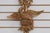 Metal Pair of Federal Style Gold Finish Eagle Candle Sconces For Sale - Image 7 of 13