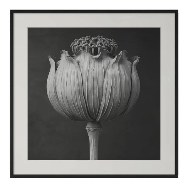 'Poppy Pod Head' No. 2 - Black and White Botanical Photography Print / Karl Blossfeldt For Sale