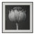 'Poppy Pod Head' No. 2 - Black and White Botanical Photography Print / Karl Blossfeldt For Sale
