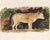 Reproduction Vintage Owl Print From 1810 Naturalist Collection For Sale - Image 10 of 10