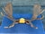Rustic modern extra large vintage moose antler wall mount. Genuine natural antler.