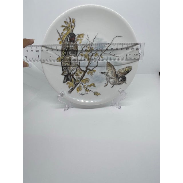 Traditional 1950s Bavarian Goldfinch Bird Plate Vohenstrauss For Sale - Image 3 of 3