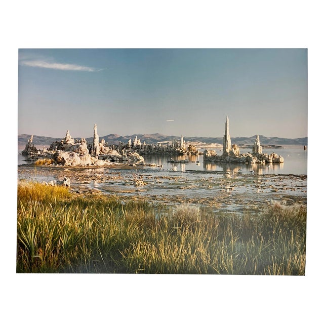 Vintage Americana Photograph of California Lake Mono Salt Lake Landscape For Sale
