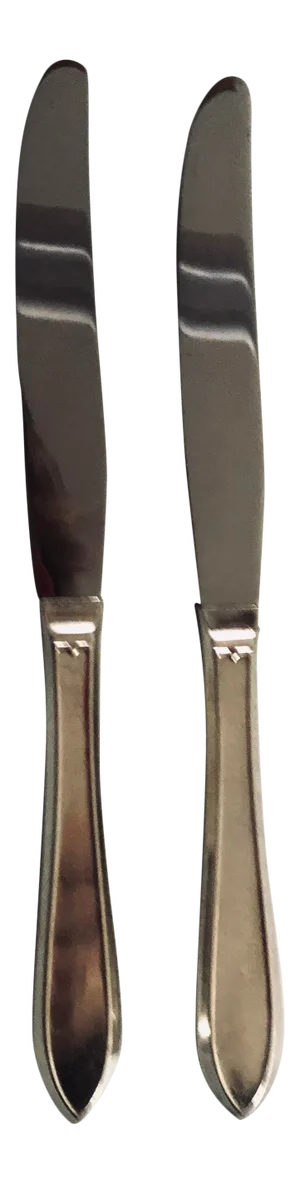 Vintage Silver Plate Knives S/2