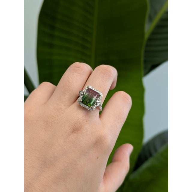 A watermelon tourmaline rests in bands of pink and green at the centre of this solid 14K white gold ring, encircled by...
