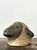 Vintage Painted Ram Bust For Sale - Image 10 of 18