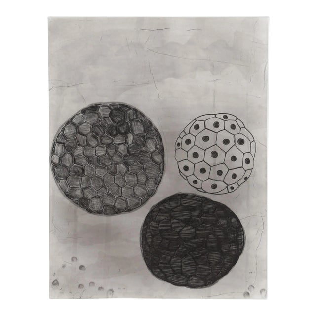 Terry Winters - #5 From Album Portfolio Etching With Aquatint For Sale