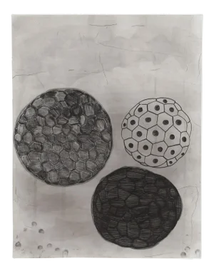 Terry Winters - #5 From Album Portfolio Etching With Aquatint