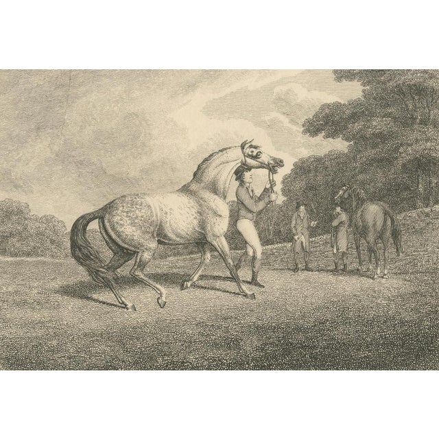 Samuel Howitt, The Racing Stallion, 1800, Engraving For Sale - Image 4 of 9