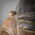 Wood Early 20th Century Suku Helmet Mask For Sale - Image 7 of 14