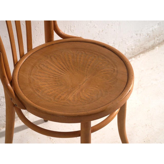 Bentwood Chairs in the style of Thonet, Central Europe, 1930, Set of 4 For Sale - Image 9 of 15