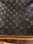 Louis Vuitton Monogrammed Pet Carrier, Canvas, Cowhide, Mesh Window & Lining For Sale - Image 17 of 17