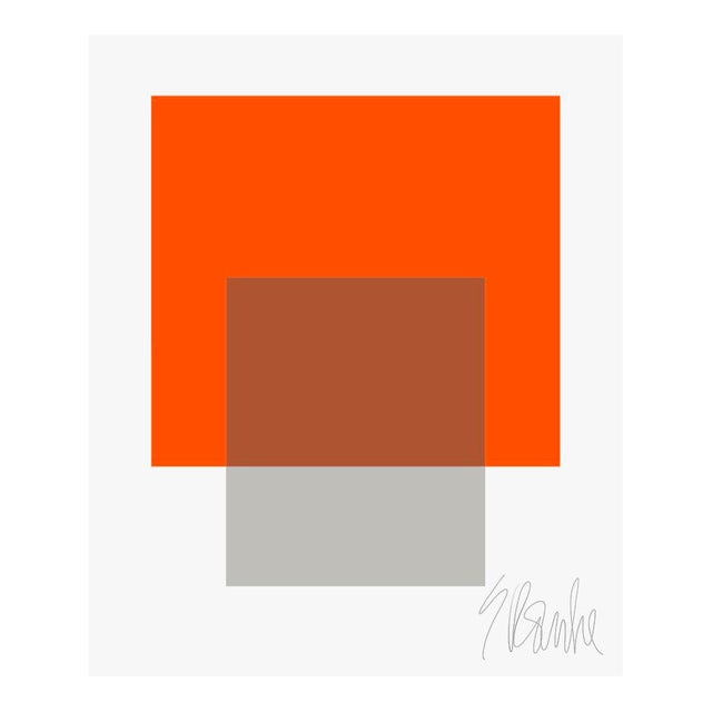 The Interaction of Orange and Gray Fine Art Print 45" X 55" by Liz Roache For Sale