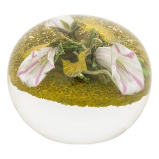 Paul Stankard Botanical Glass Paperweight, 2003 For Sale