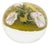 Paul Stankard Botanical Glass Paperweight, 2003 For Sale
