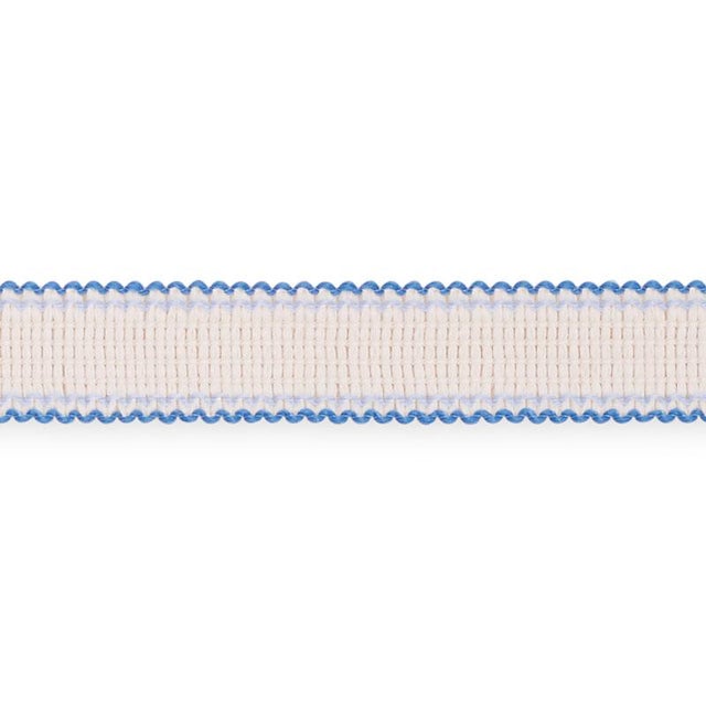 Contemporary Sample - Schumacher Filippa Tape Indoor & Outdoor in Delft For Sale - Image 3 of 3