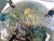 Mid 20th Century Mid 20th Century Sascha Brastoff Ceramic Lidded Egg Jar For Sale - Image 5 of 7