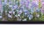Claude Monet the Artist's Garden at Giverny Impressionist Painting Art Print For Sale - Image 17 of 18