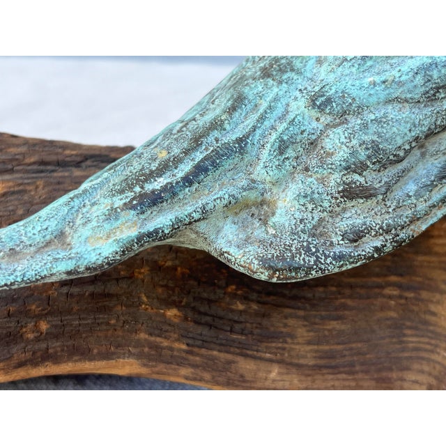 Bronze of a Bird Mounted on Found Wood For Sale In New York - Image 6 of 7