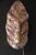 2000 - 2009 Pink and Gold Murano Glass Wall Sconces in the Shape of Leaves, 2000s, Set of 2 For Sale - Image 5 of 12