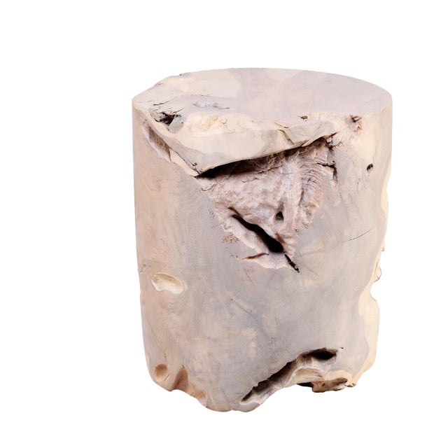 Bleached White Teak Root Accent or Side Table or Stool 36 For Sale