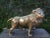 Large Hollywood Regency Brass Lion Sculpture. We offer a friendly Hollywood Regency brass lion statue or sculpture....