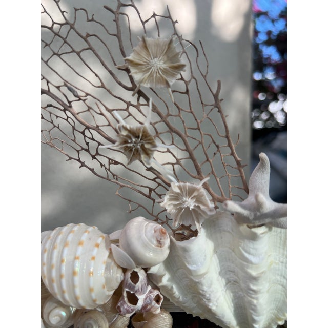 CSS Seashell Photo Frame For Sale In West Palm - Image 6 of 8